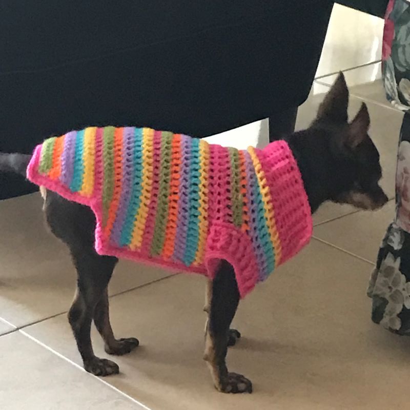 Un abrigo para&nbsp;Trufa